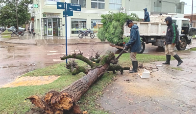 Temporal en Charata.