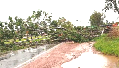 &Aacute;rboles ca&iacute;dos sobre Ruta 89 en la ciudad de Charata.