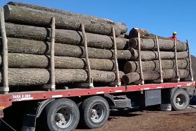 Paralizaci&oacute;n del OTBN en la provincia del Chaco,