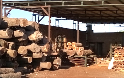 Crisis en el sector maderero del Chaco por freno al OTBN