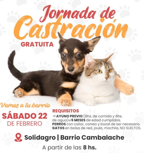 Castraci&oacute;n gratuita de mascotas en Charata.