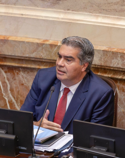 Jorge Capitanich en el Senado.