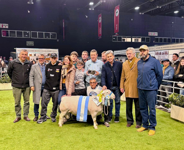 Premio para la genética ovina de Chaco, Gancedo.