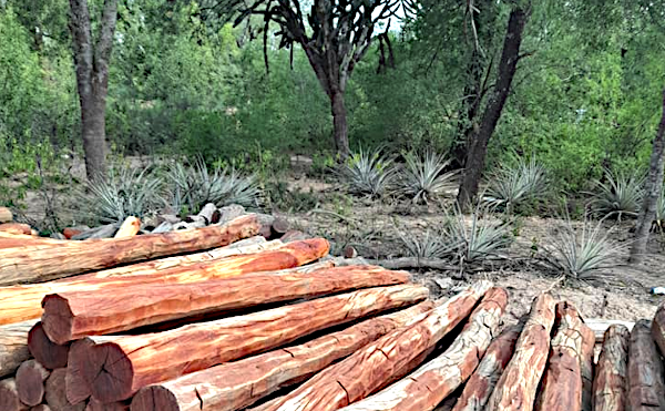 Producci&oacute;n forestal de Chaco en crisis