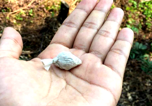 La adolescencia y el consumo de drogas.