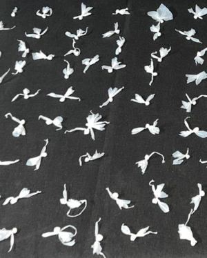 Secuestro de drogas por parte de la Policía del Chaco,