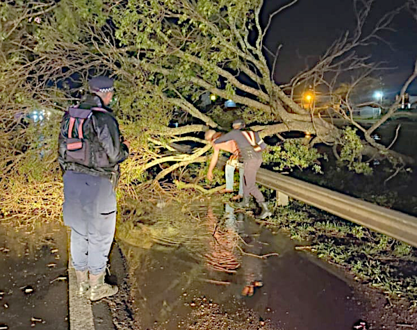 La Policia Caminera del Chaco ordenando el tr&aacute;nsito en Ruta Nacional 89 por la ca&iacute;da de &aacute;rboles sobre la cinta asf&aacute;ltica.