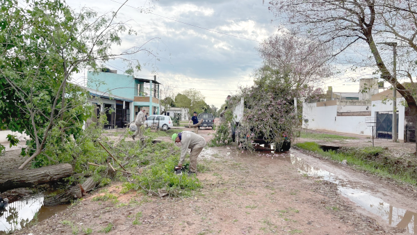 Personal del Municipio de Charata trabajando con la gran cantidad de &aacute;rboles ca&iacute;dos en distintos barrios de la ciudad.